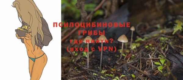 Альфа ПВП Майский