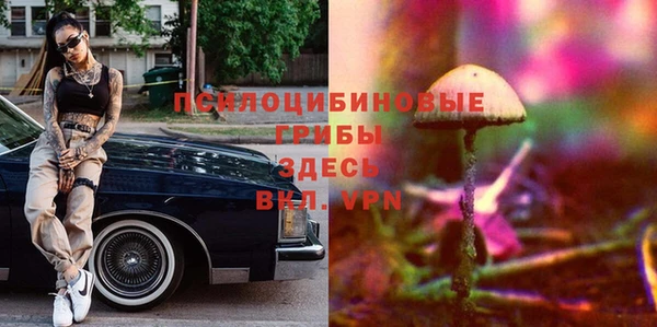 Альфа ПВП Майский