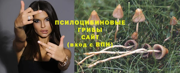 apvp Нязепетровск