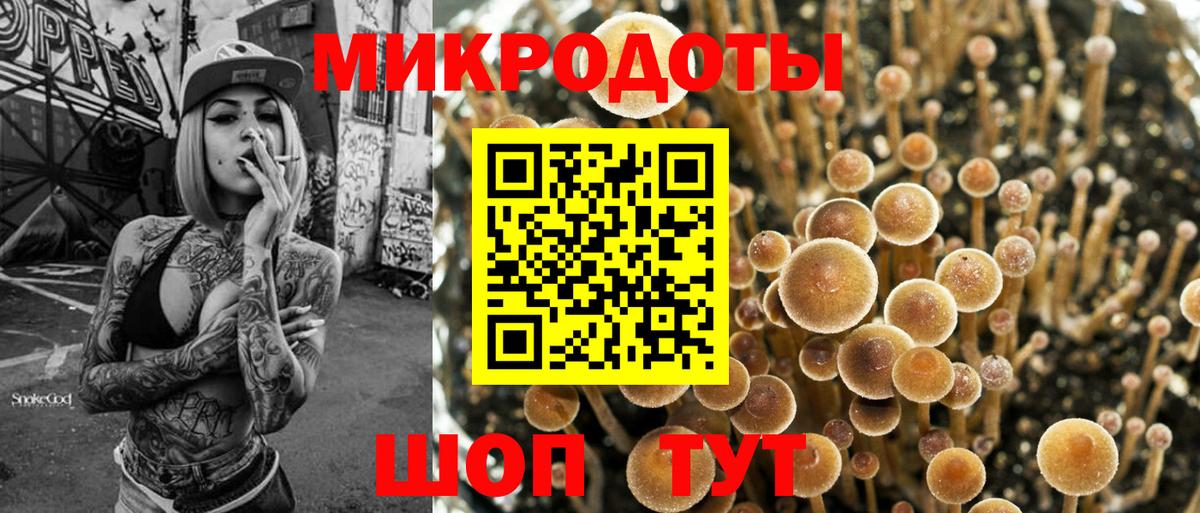 Галлюциногенные грибы Psilocybine cubensis Елец