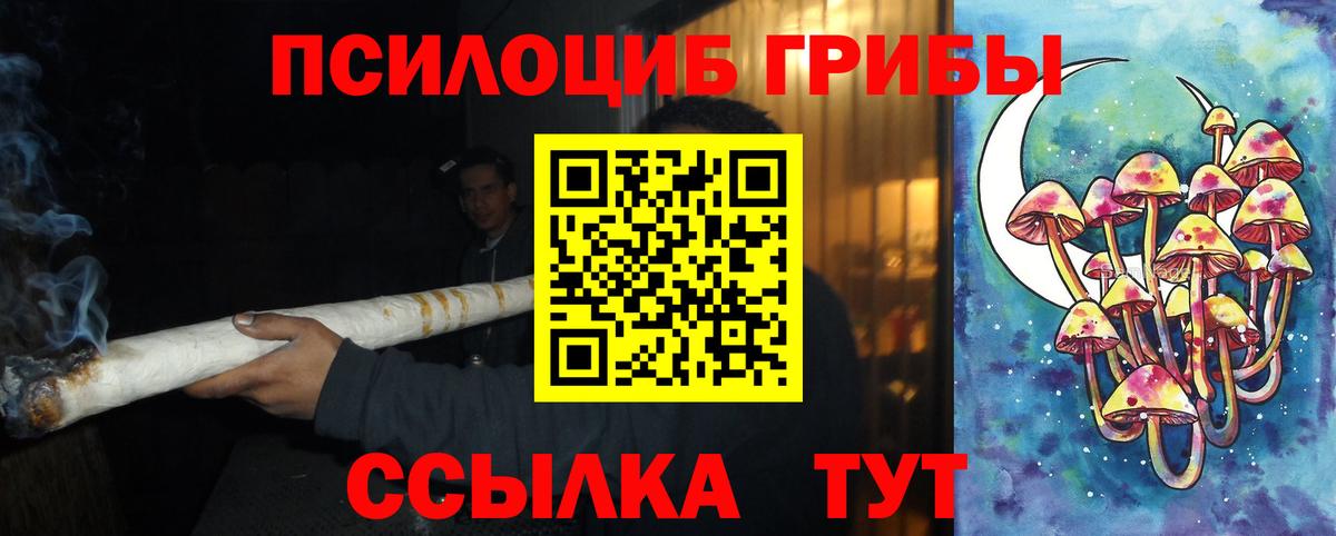 Псилоцибиновые грибы GOLDEN TEACHER  Елец 