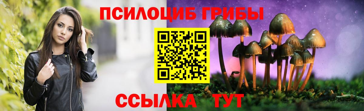 Елец  купить закладку  Вход с VPN  Псилоцибиновые грибы GOLDEN TEACHER 